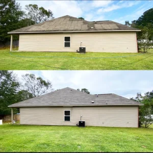 remove mold, algae, red dirt from your roof