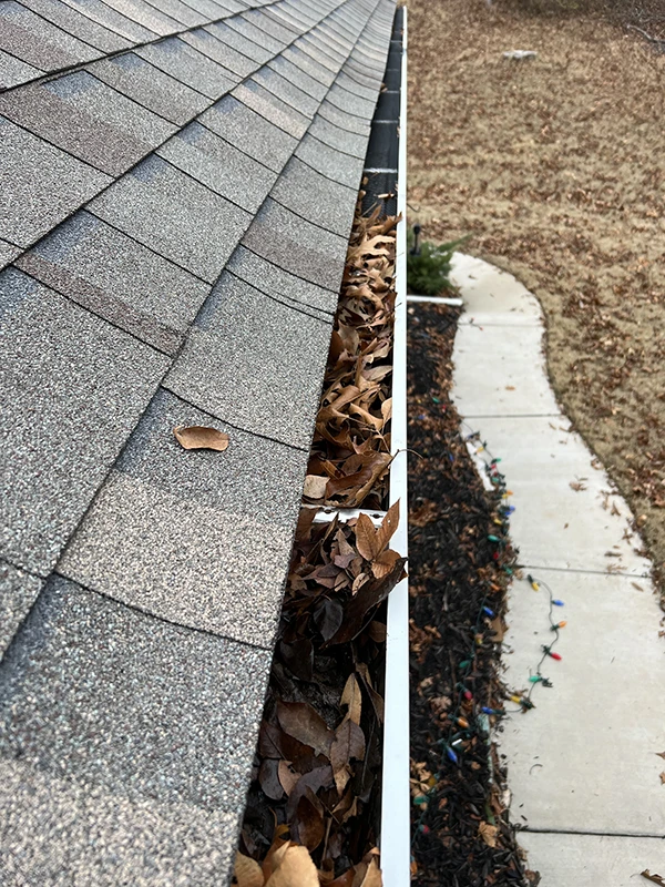 Gutter Cleaning