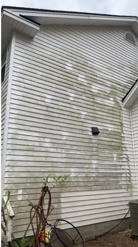 House that needs washing covered in organic material