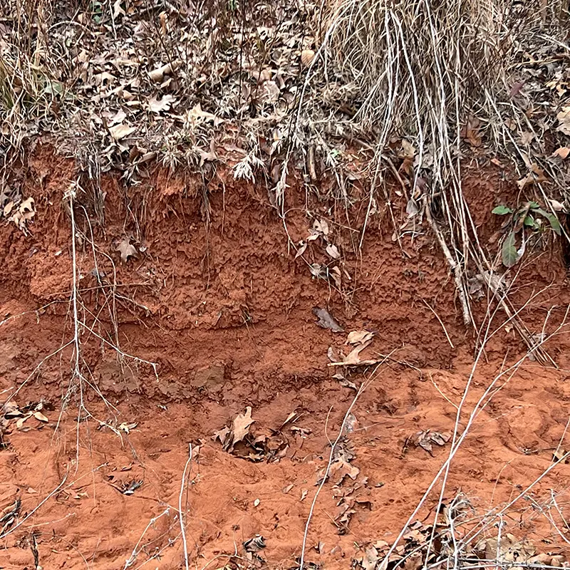 Port Silt Loam Removal OKC